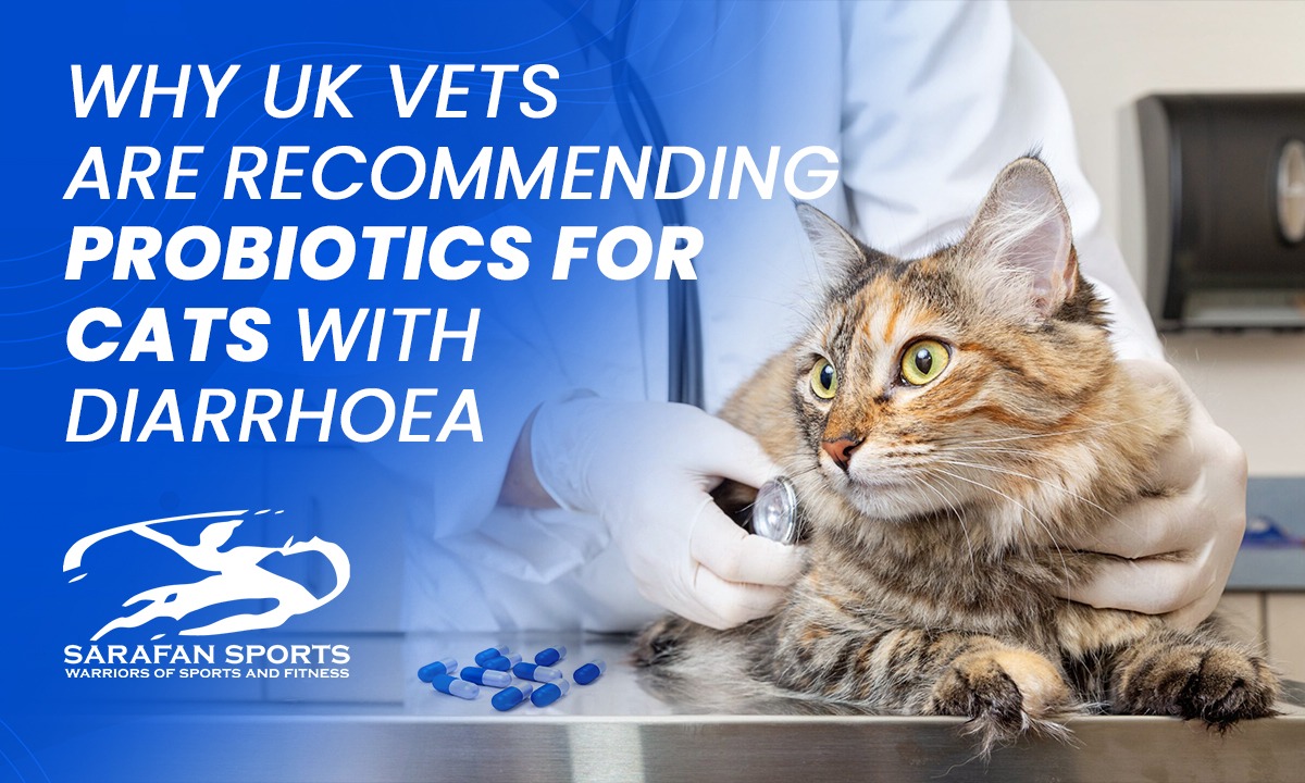 Why UK Vets Are Recommending Probiotics for Cats with Diarrhoea