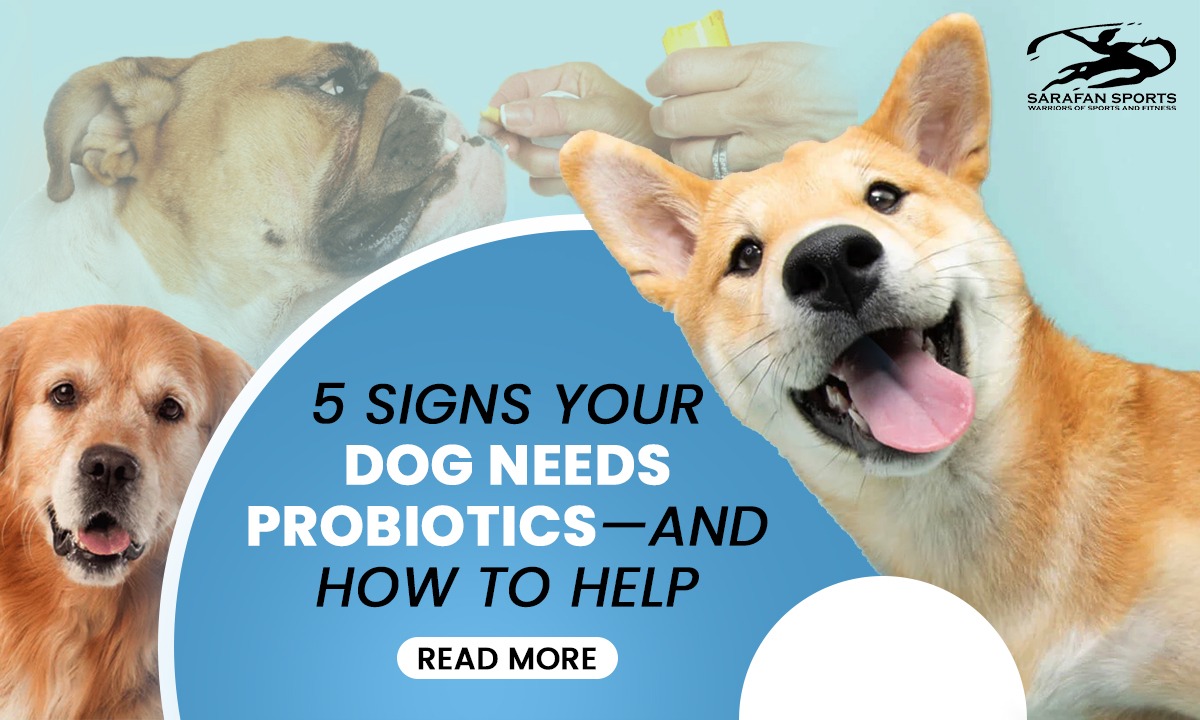5 Signs Your Dog Needs Probiotics—and How to Help